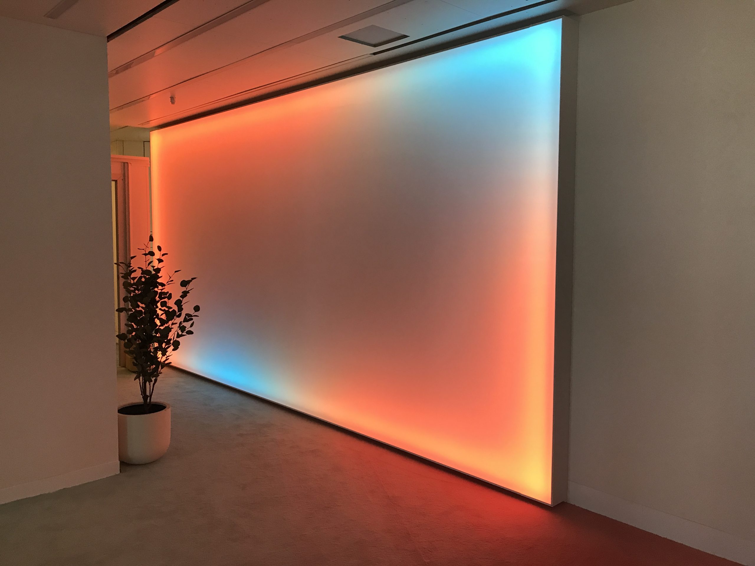 NEWMAT Australia: Stretch Ceiling Supplier | Pixel LED Gallery