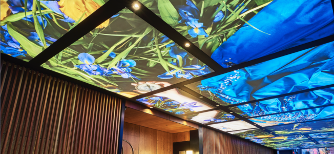 NEWMAT Australia: Stretch Ceiling Supplier | NEW Graphic