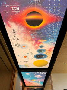 NEWMAT Australia: Stretch Ceiling Supplier | Graphic Gallery
